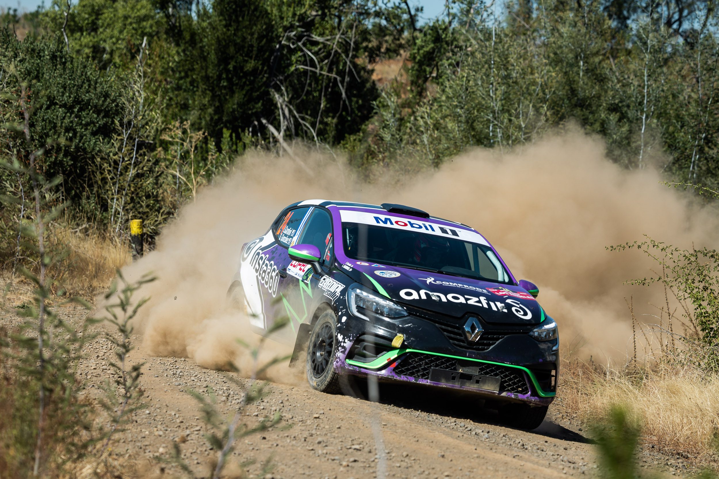 Gardiol Gonzalez Revelación