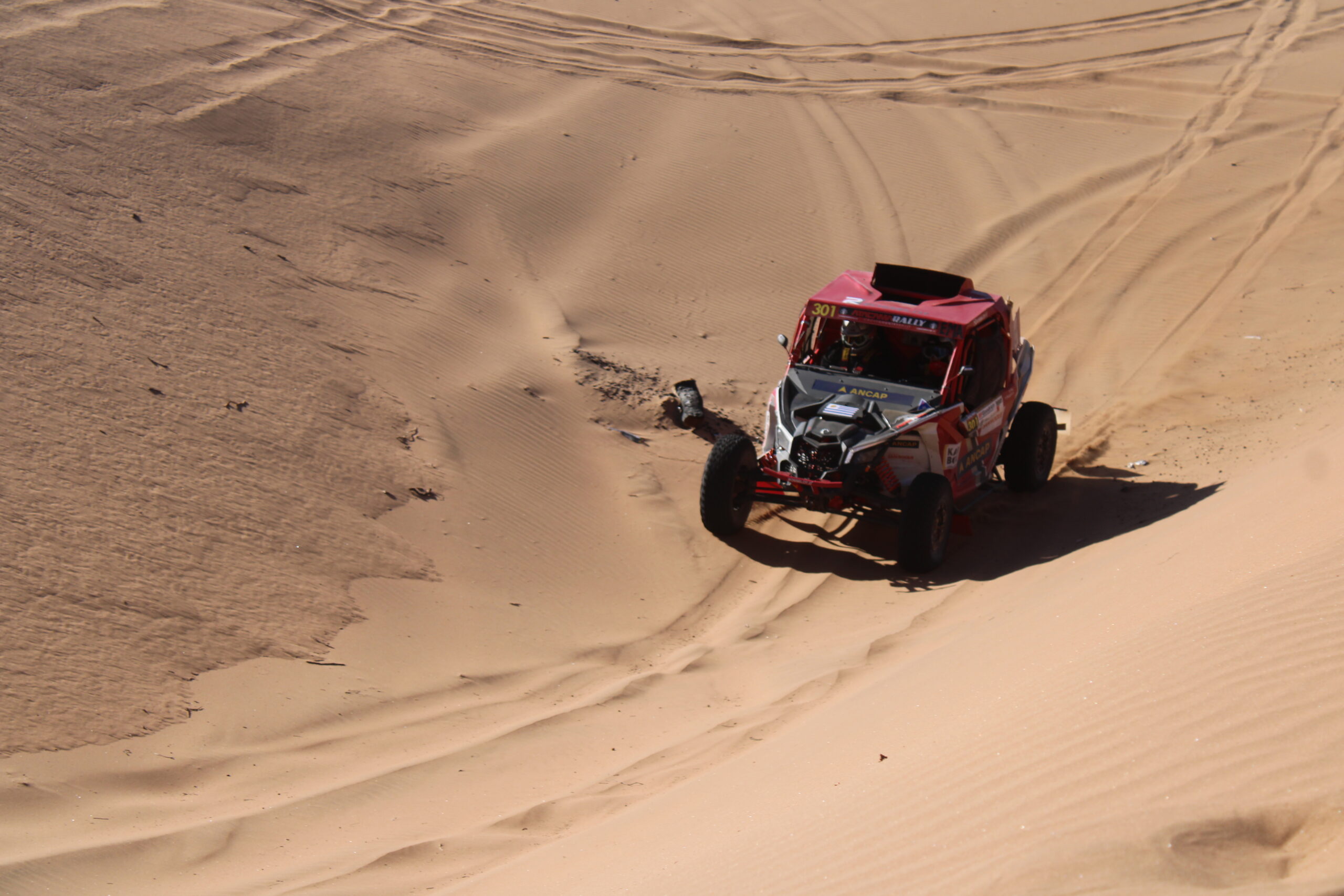 Pita Atacama 3082023