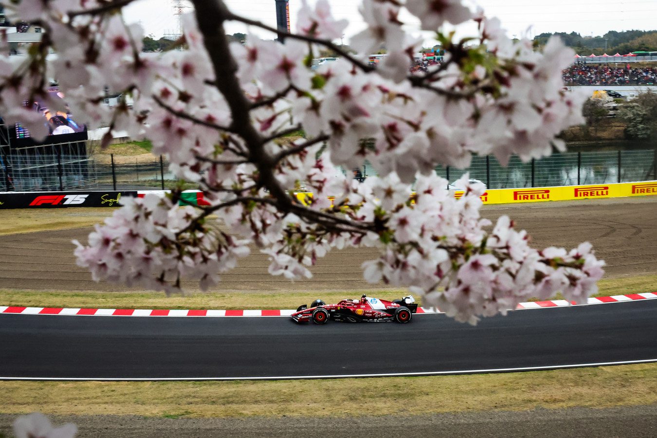 Charles Leclerc - Scuderia Ferrari HP SF-25