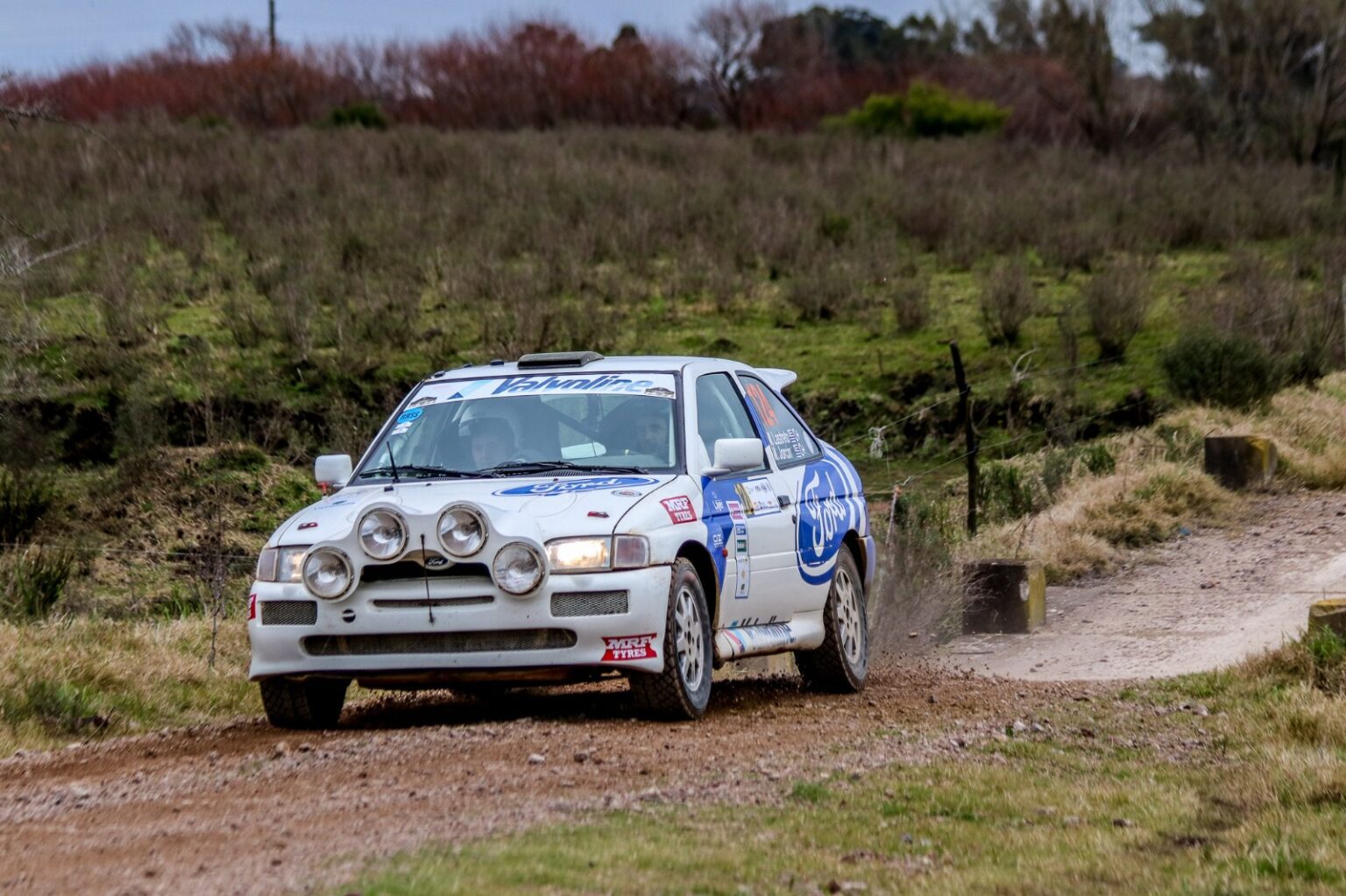 05 cur previo treinta y tres 2025