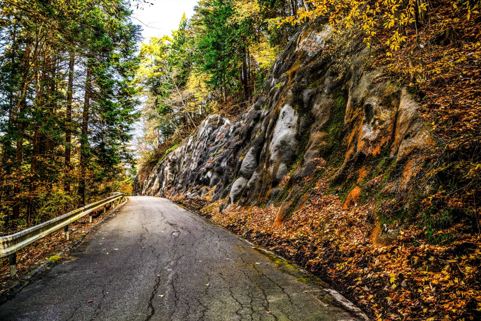 Las estrechas carreteras de montaña entre Aichi y Gifu definen al Rally de Japón como uno de los eventos más técnicos y exigentes del WRC. En noviembre son resbaladizas por las hojas caídas; en mayo, el asfalto más caliente añade nuevas variables.