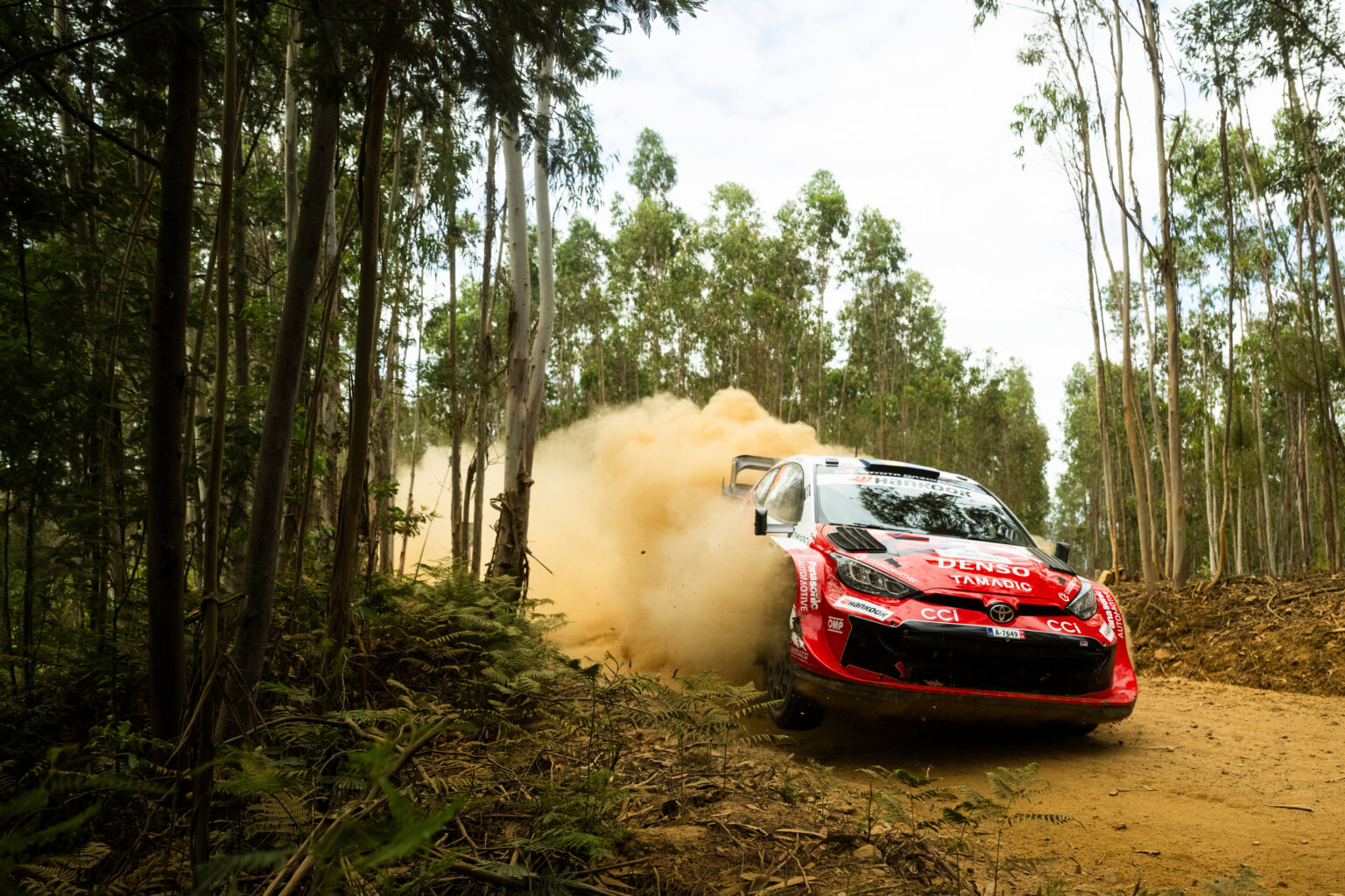 Oliver Solberg-Elliott Edmondson (Toyota GR YARIS Rally1)